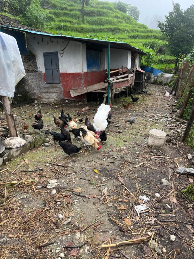 The North Face Inn'S Homestay โพคารา ภายนอก รูปภาพ